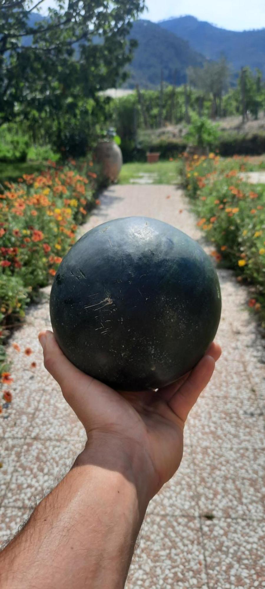 Agriturismo La Collina Verde ليفانتو المظهر الخارجي الصورة