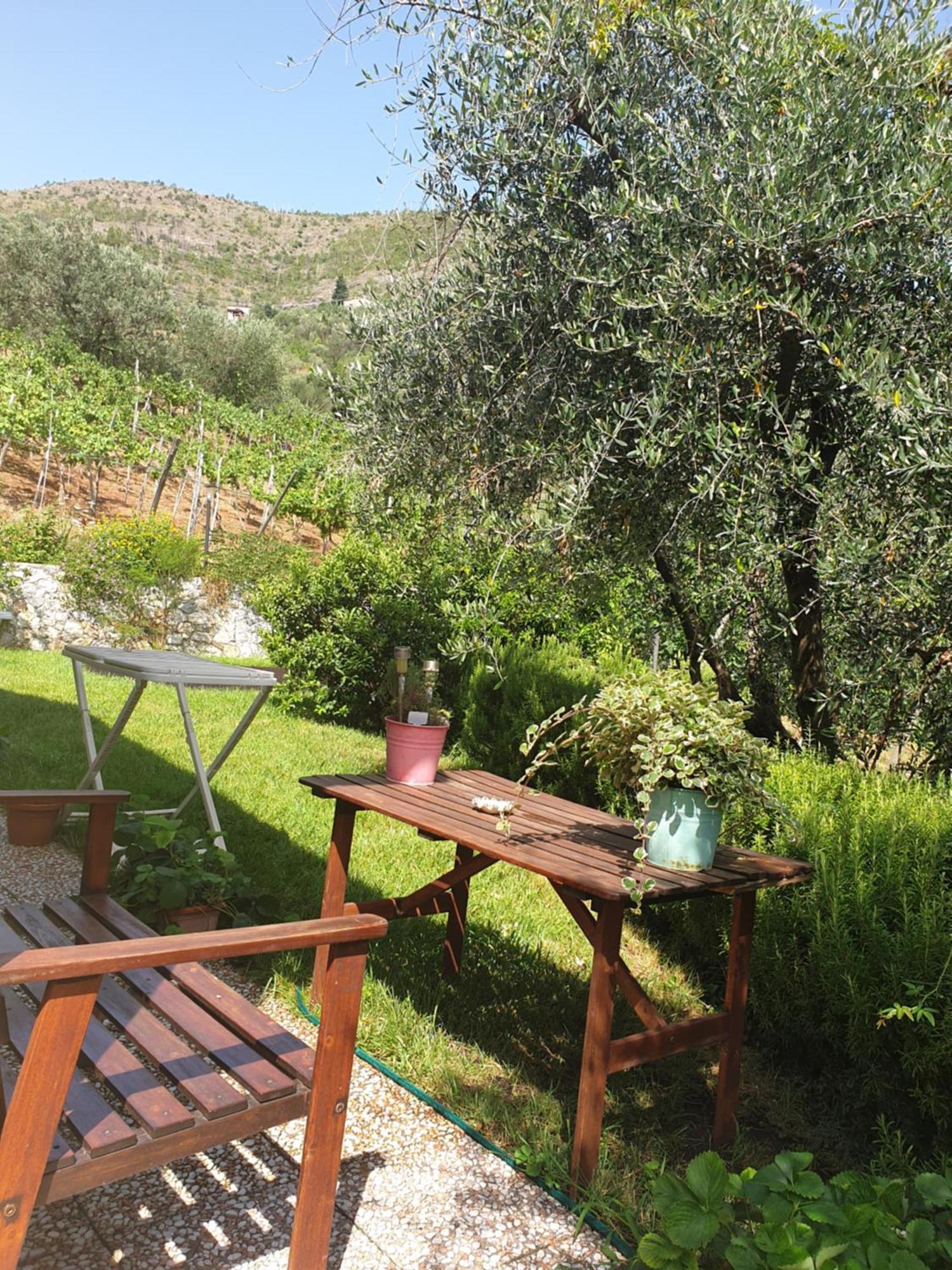 Agriturismo La Collina Verde ليفانتو المظهر الخارجي الصورة